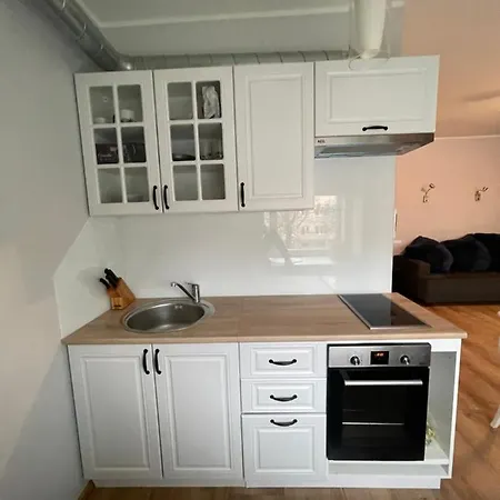 Center Apartment- Kesklinna Suvituskorter Parnu